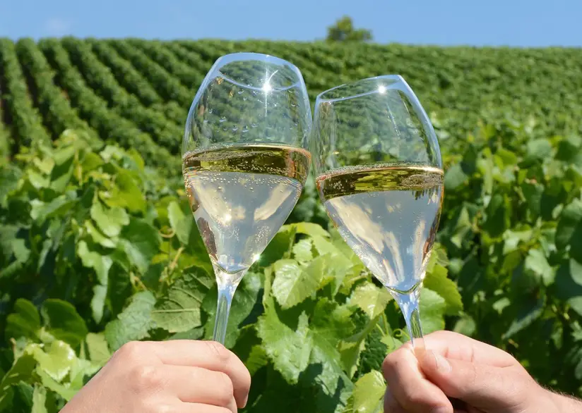 Deux verres de vin blanc devant des champs de vignes